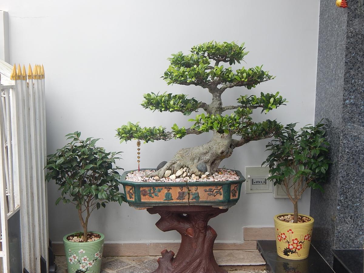 Dalat View Homestay Zewnętrze zdjęcie